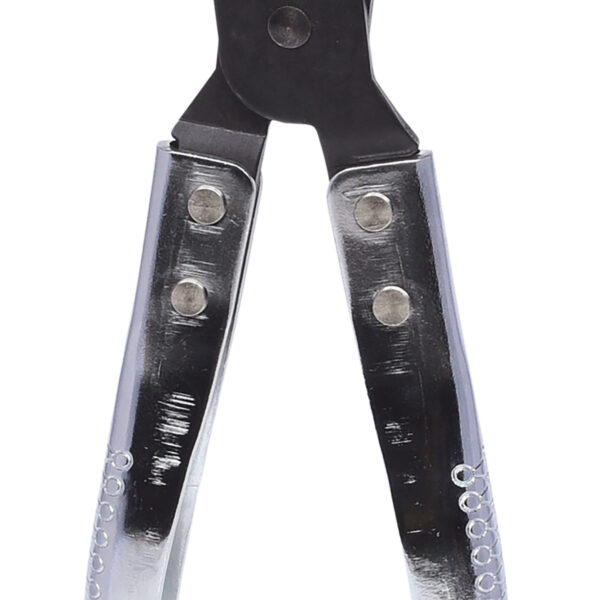 FOT_PRO_VAR_115.1061.2_SALL_AING_V1