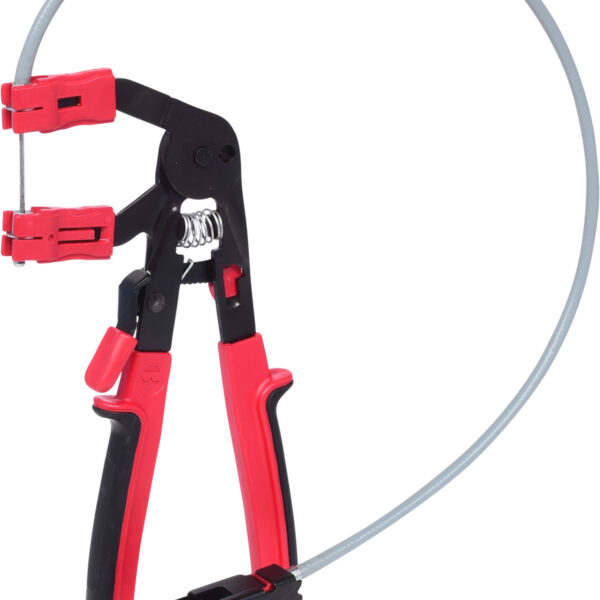 FOT_PRO_ALG_115.1060_SALL_AING_V1