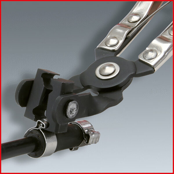 FOT_ANW_ALG_ZA_115.1057.AW1_SALL_AING_V1