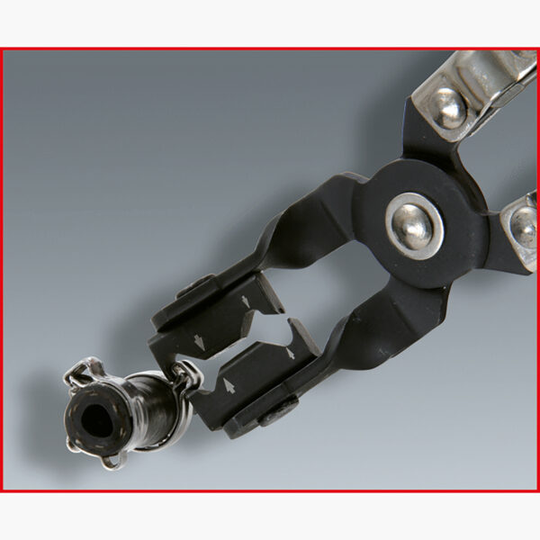 FOT_ANW_ALG_ZA_115.1057.AW2_SALL_AING_V1