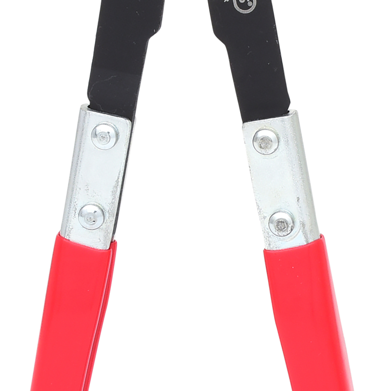 FOT_PRO_ALG_115.1050_SALL_AING_V1