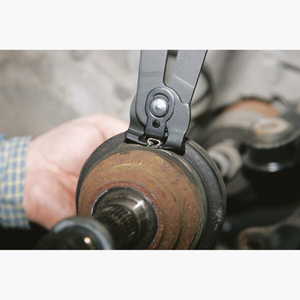 FOT_ANW_ALG_ZA_115.1050.AW1_SALL_AING_V1