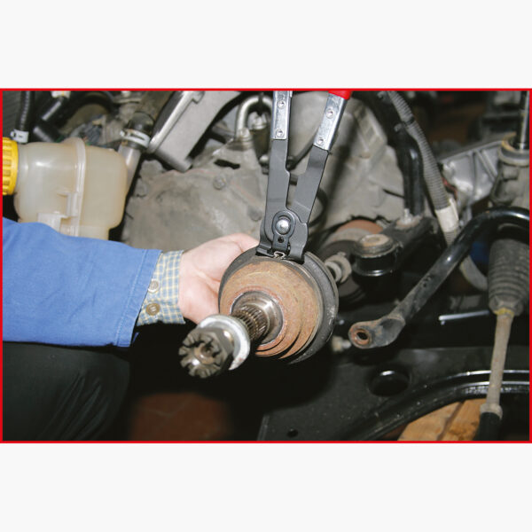 FOT_ANW_ALG_ZA_115.1050.AW2_SALL_AING_V1