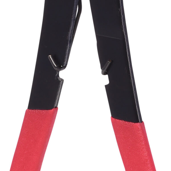 FOT_PRO_VAR_115.1049.2_SALL_AING_V1