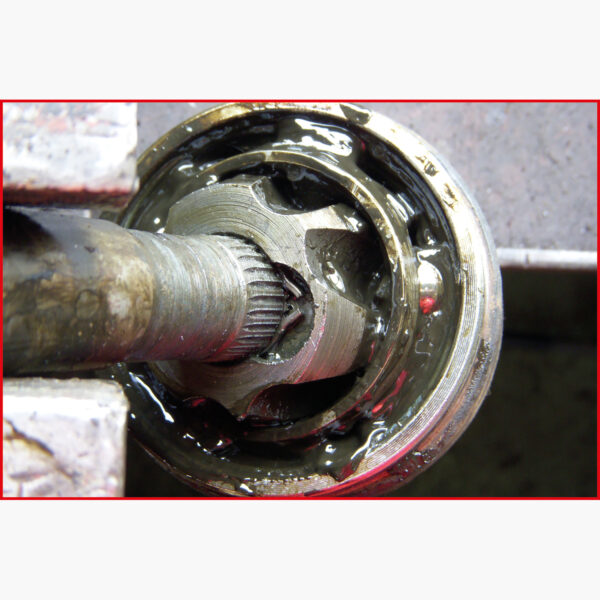 FOT_ANW_ALG_AUTO_115.1049.AW1_SALL_AING_V1