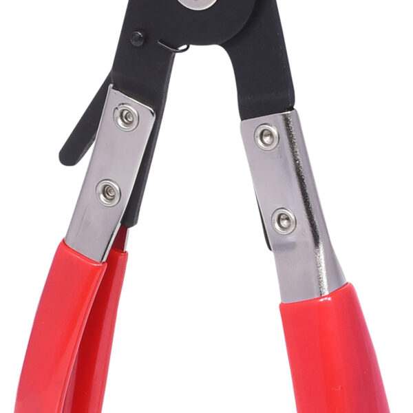 FOT_PRO_VAR_115.1043.2_SALL_AING_V1