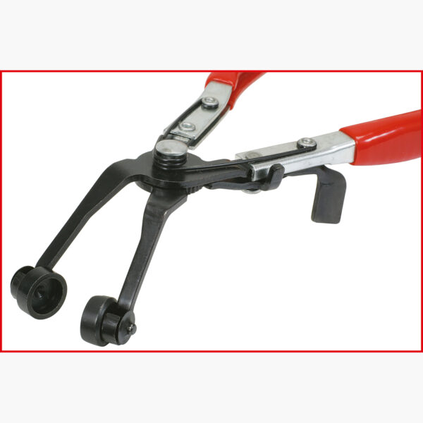 FOT_ANW_ALG_AUTO_115.1042.AW1_SALL_AING_V1