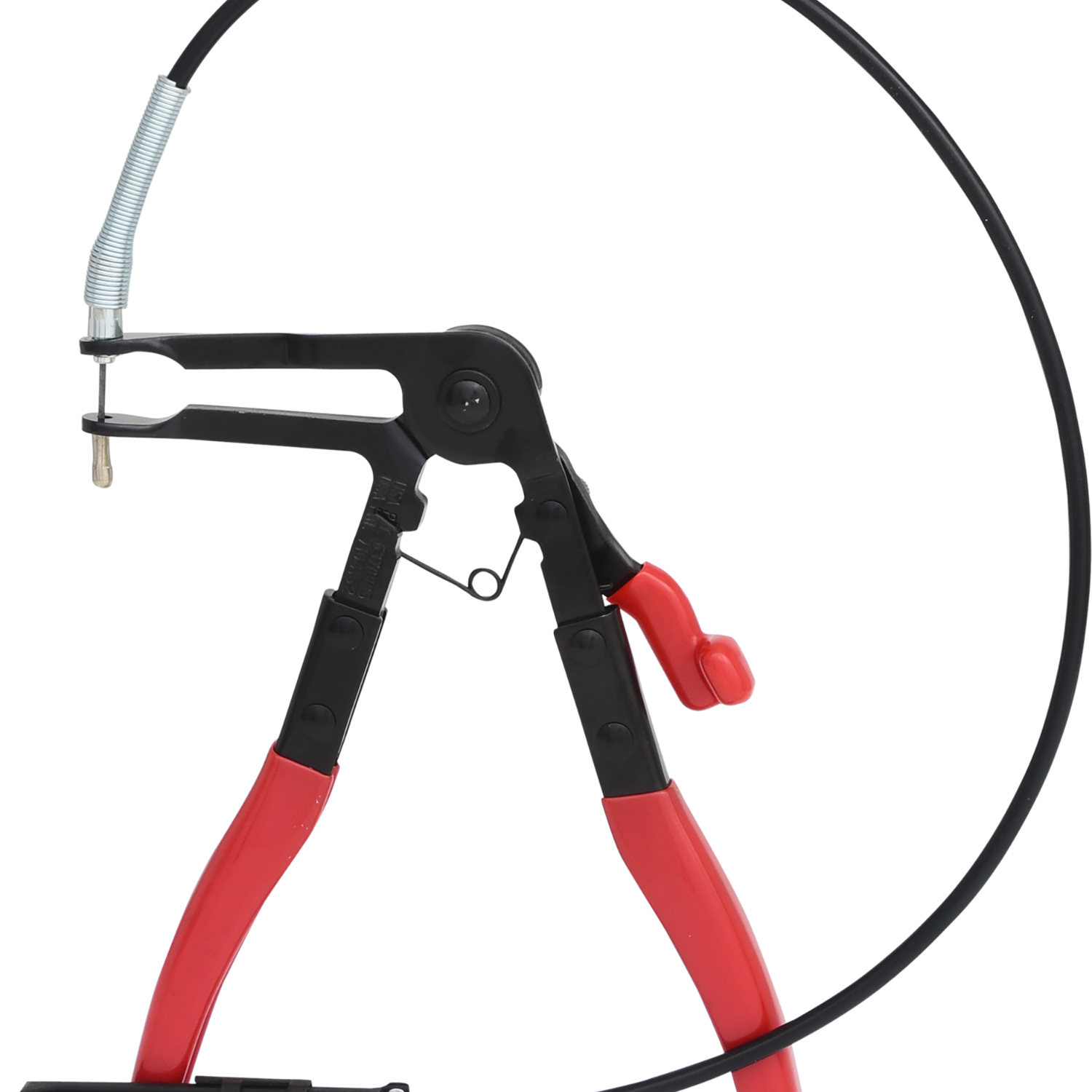 FOT_PRO_ALG_115.1041_SALL_AING_V1