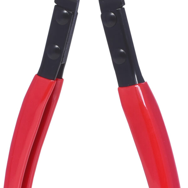 FOT_PRO_ALG_115.1039_SALL_AING_V1