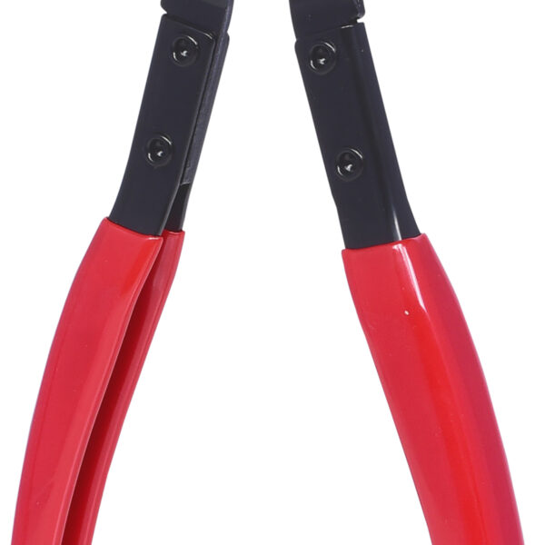 FOT_PRO_VAR_115.1039.2_SALL_AING_V1