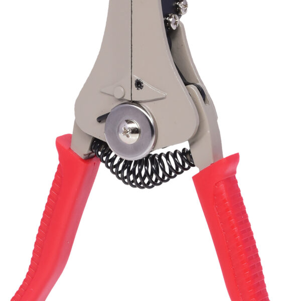 FOT_PRO_VAR_115.1029.2_SALL_AING_V1