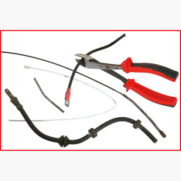 FOT_ANW_ALG_ZA_115.1025.AW1_SALL_AING_V1