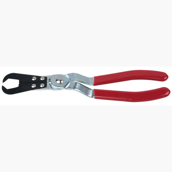 FOT_PRO_ALG_AUTO_115.0994_SALL_AING_V1