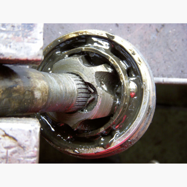 FOT_ANW_ALG_ZA_115.0990.AW2_SALL_AING_V1